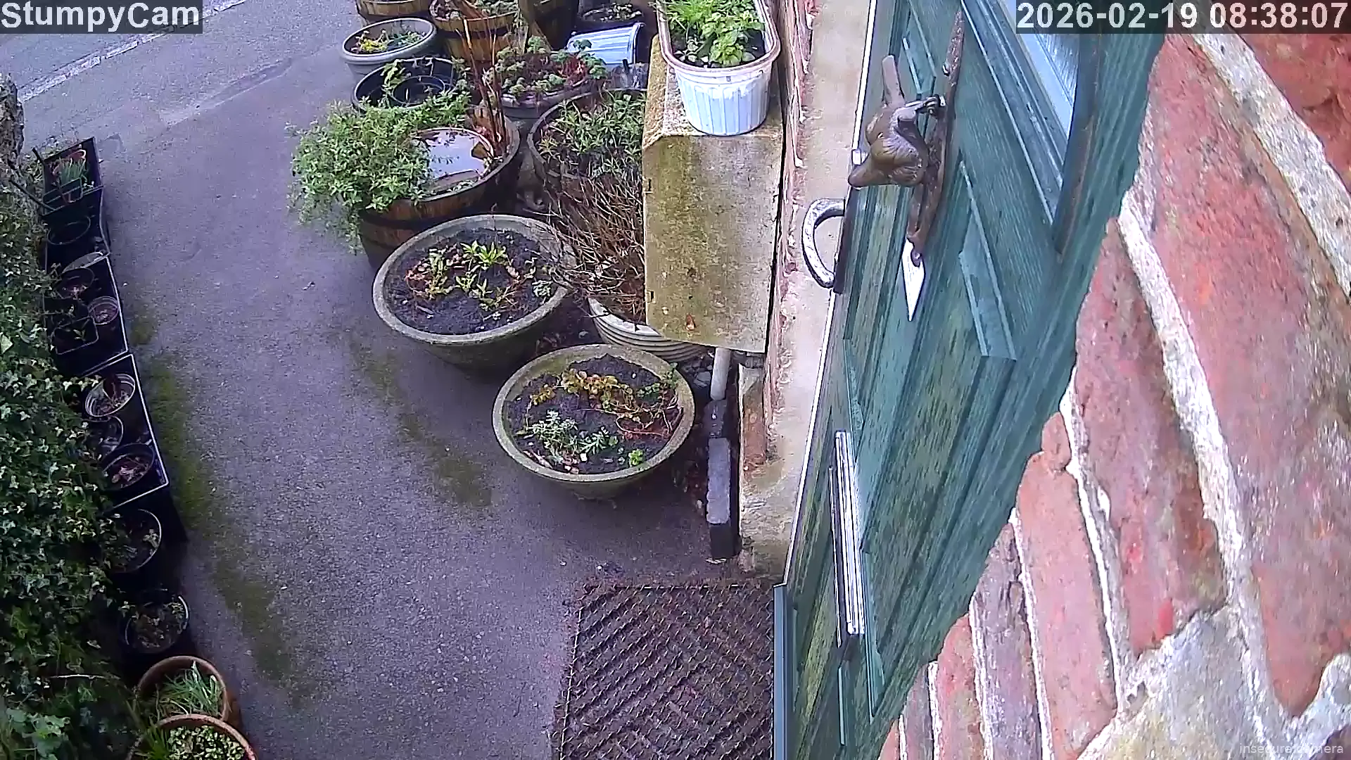 Capture from Feb 19, 2026 at 07:38 AM