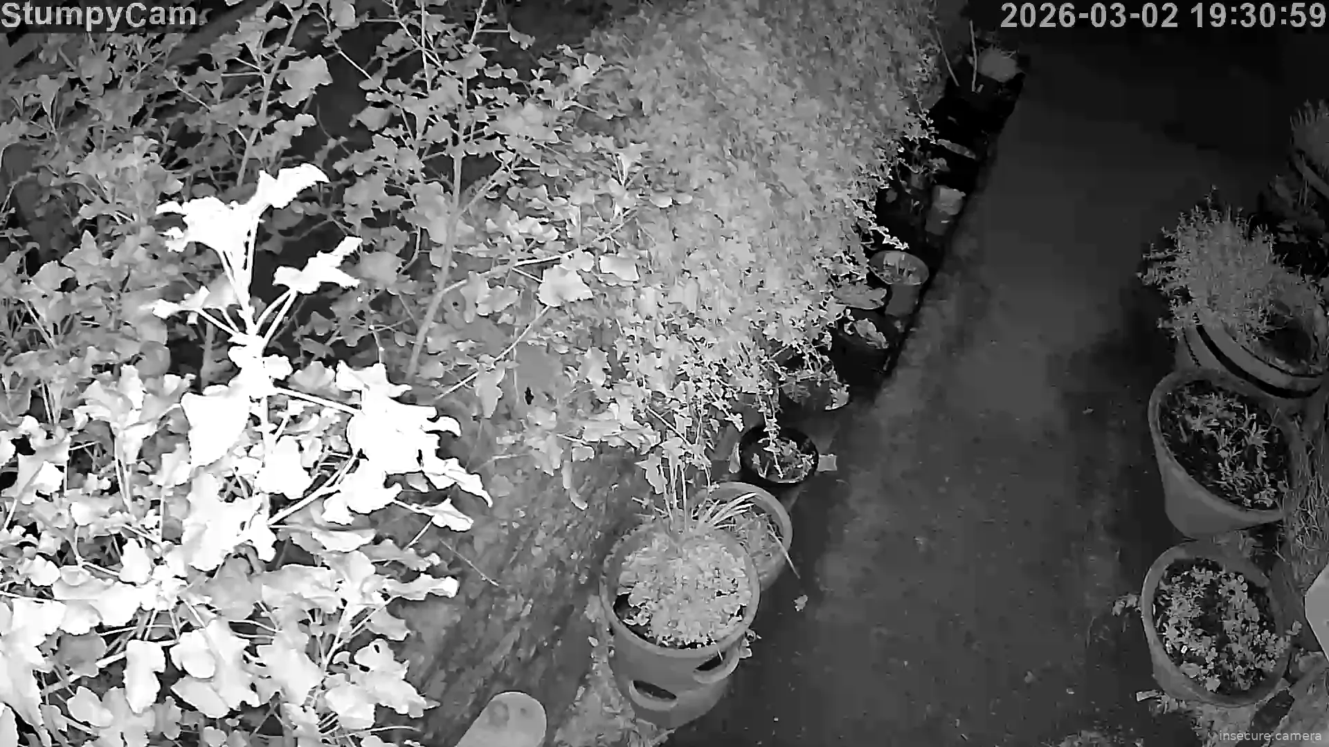 Capture from Mar 02, 2026 at 06:31 PM