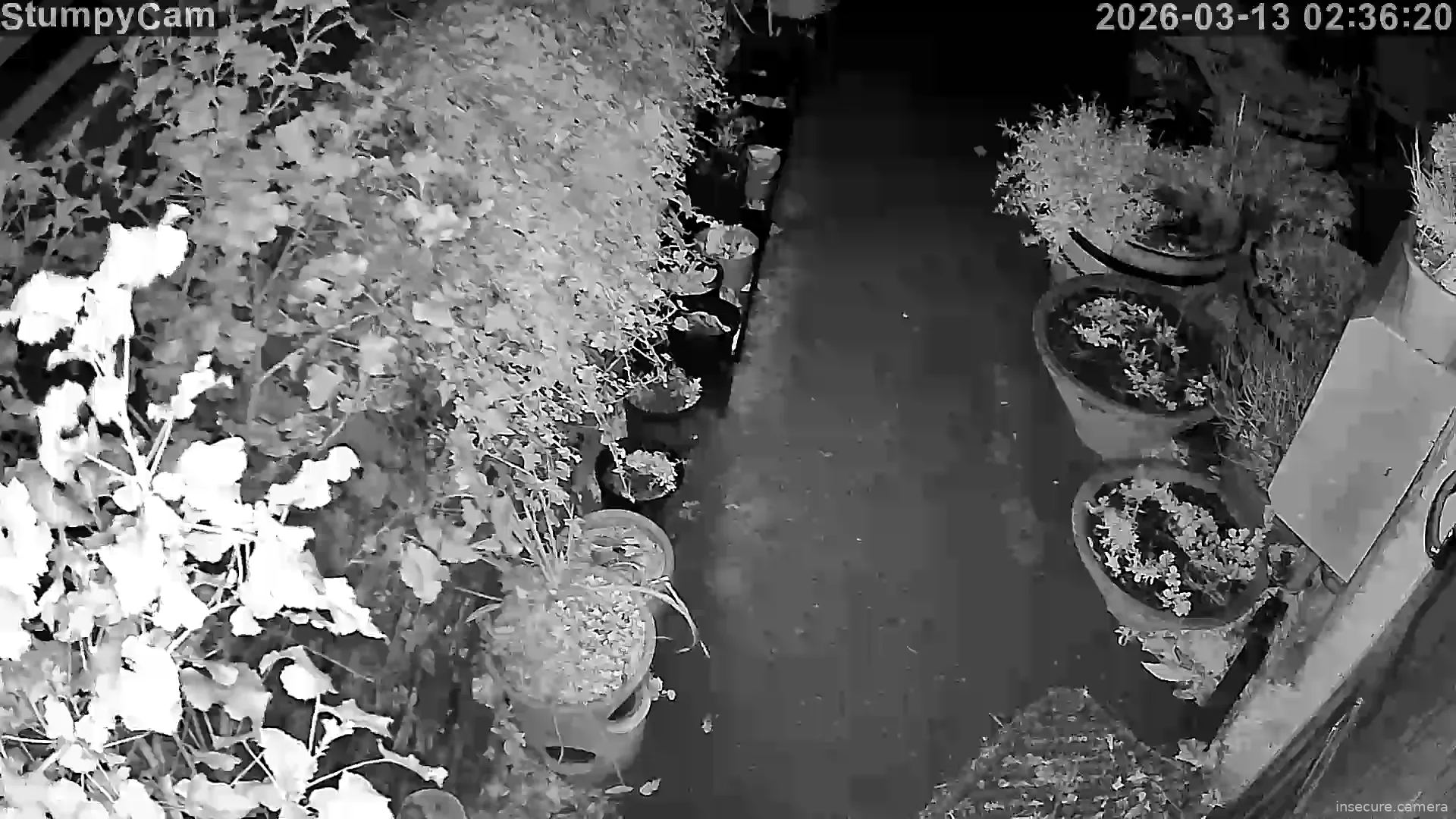 Camera in United Kingdom