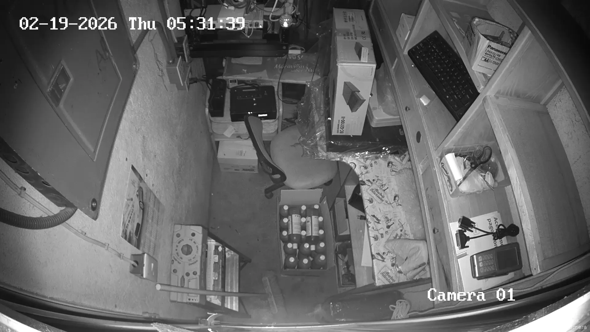 Capture from Feb 19, 2026 at 11:31 AM