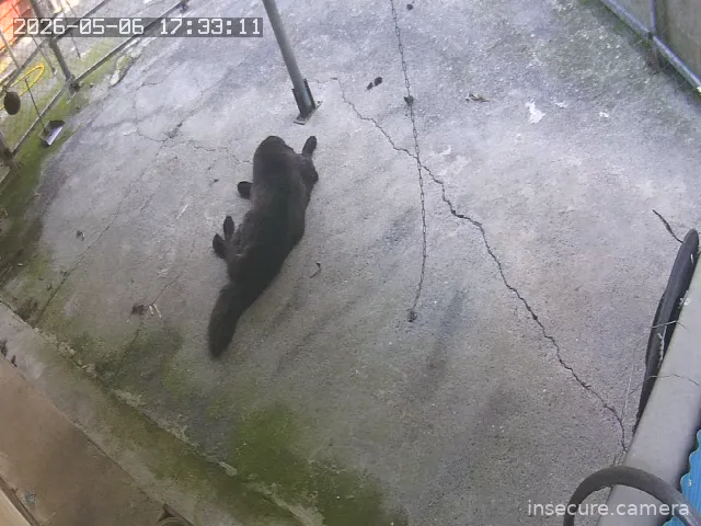 Camera in Taiwan