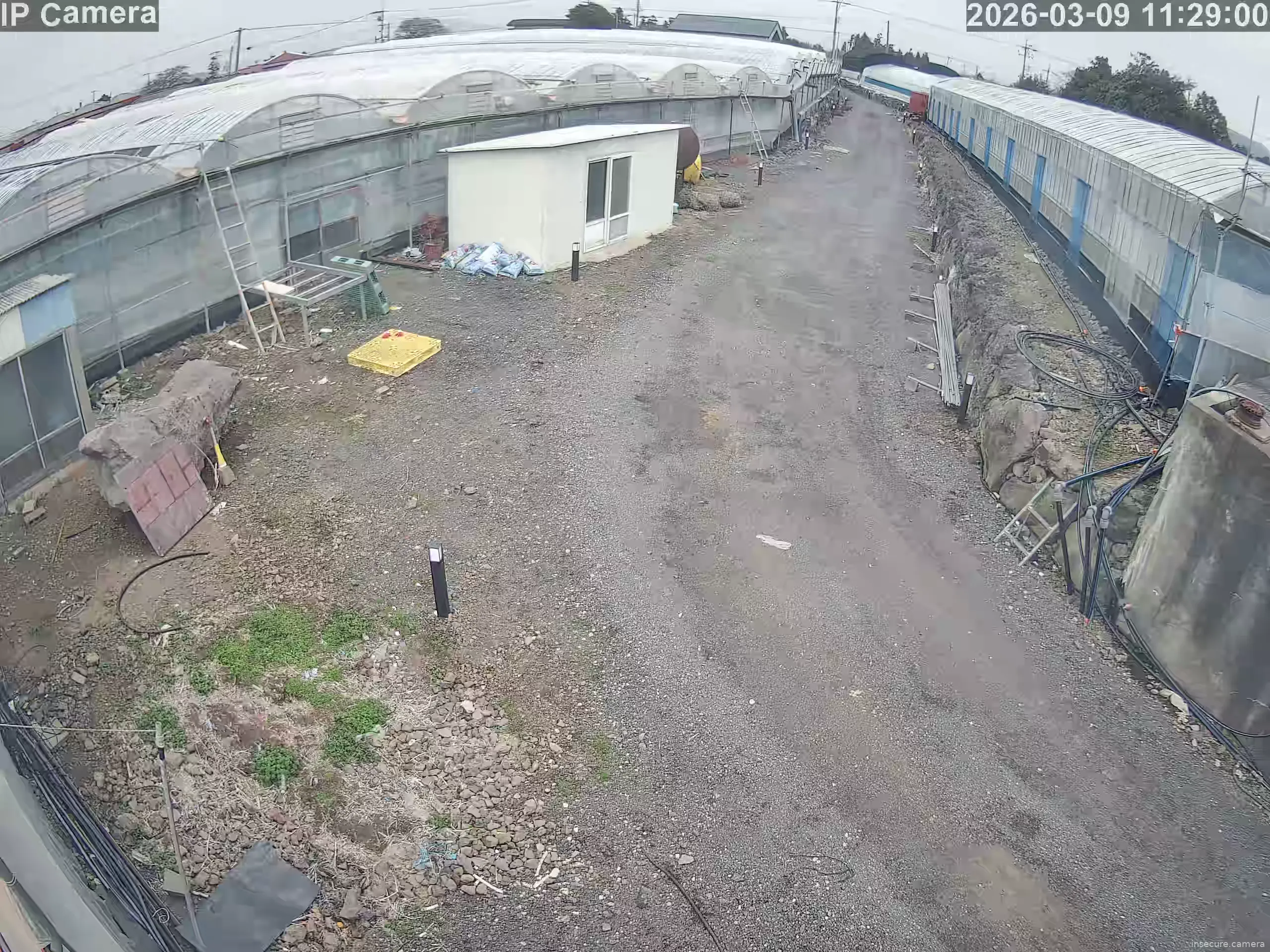 Camera in South Korea