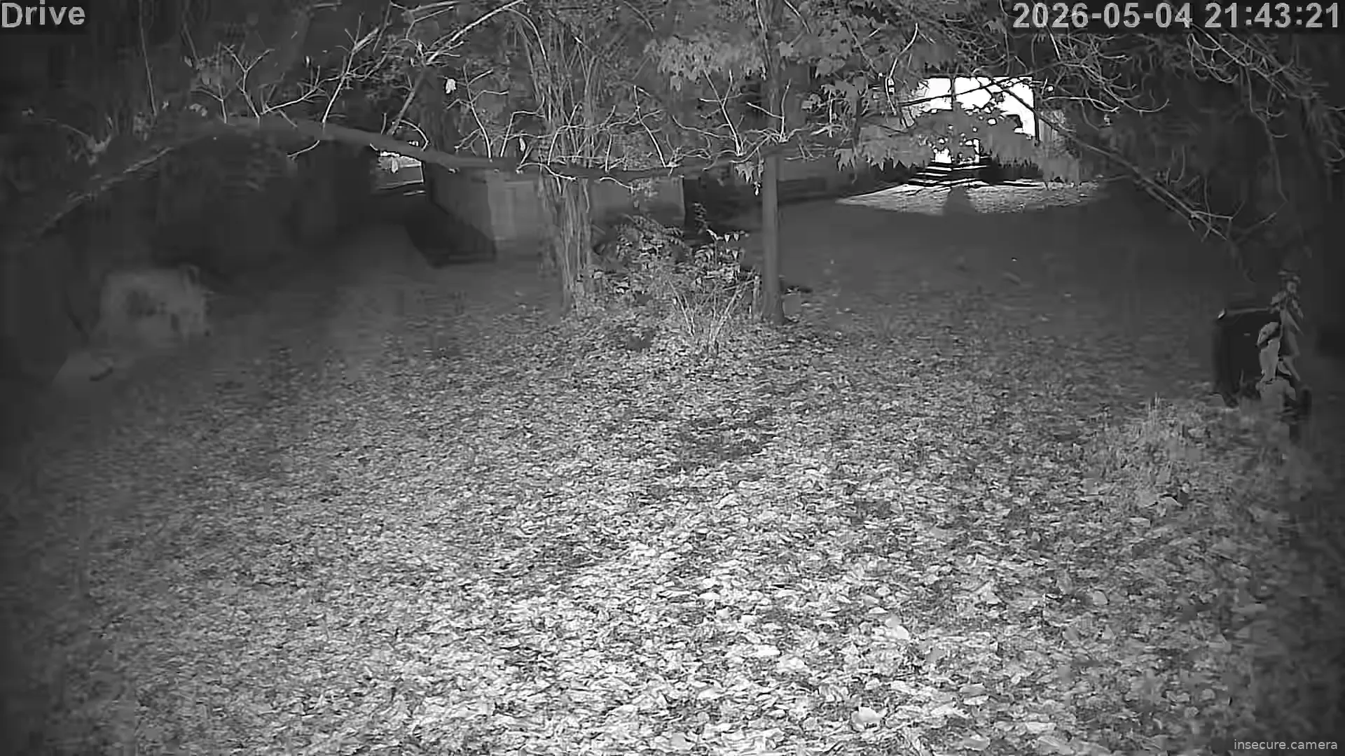 Camera in Australia