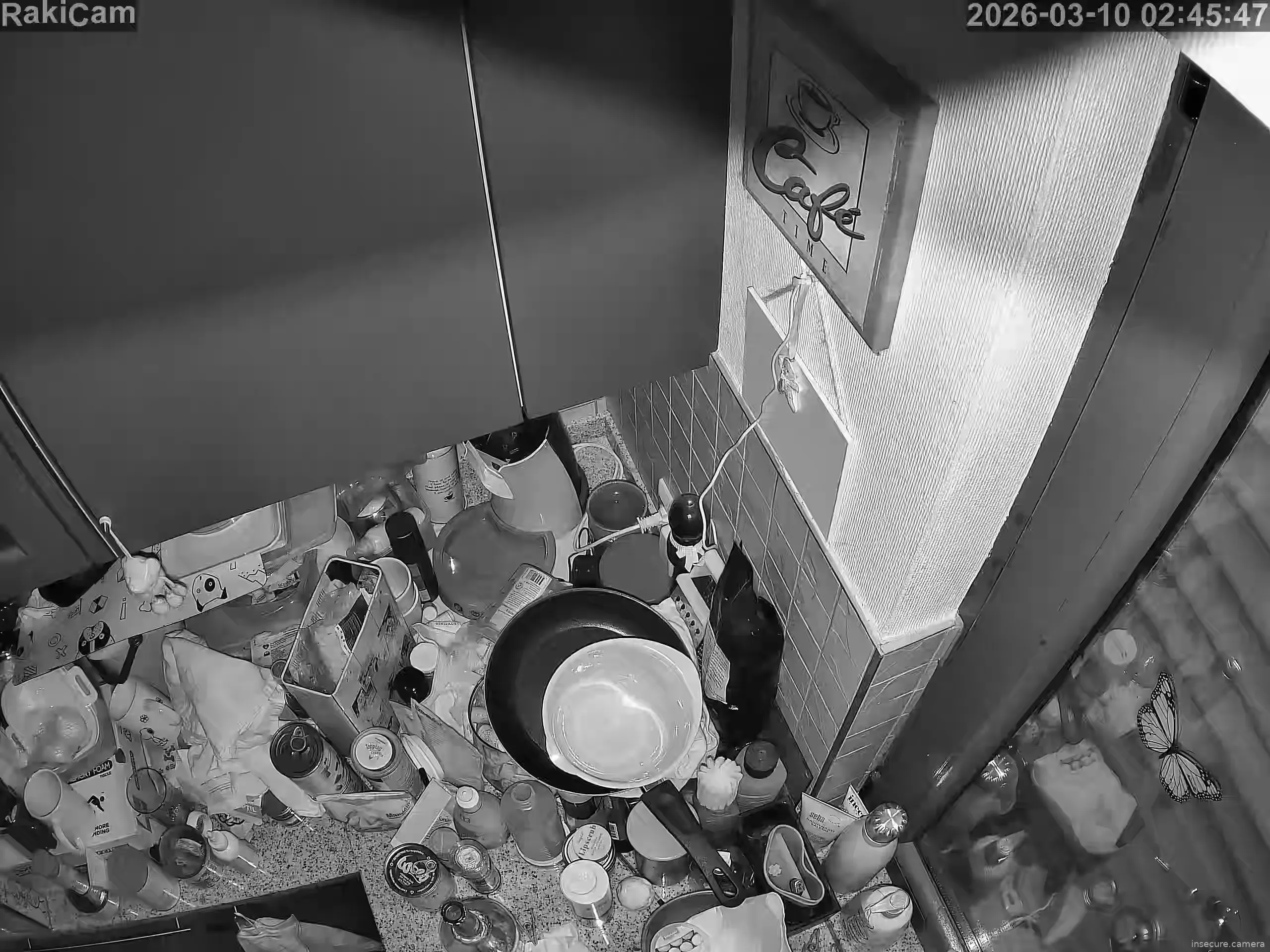 Capture from Mar 10, 2026 at 01:46 AM