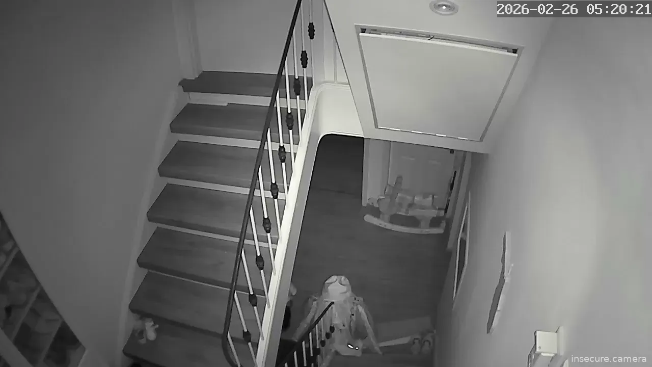 Capture from Feb 26, 2026 at 03:20 AM