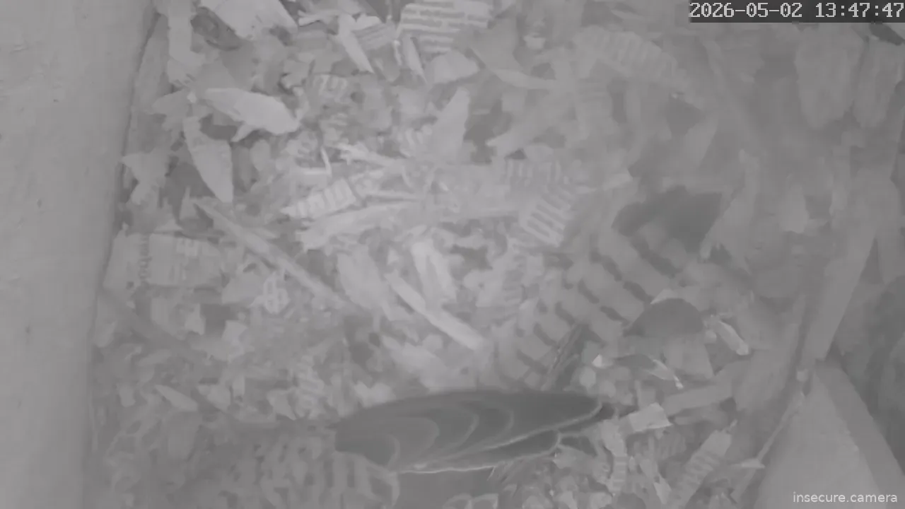 Capture from May 02, 2026 at 11:48 AM