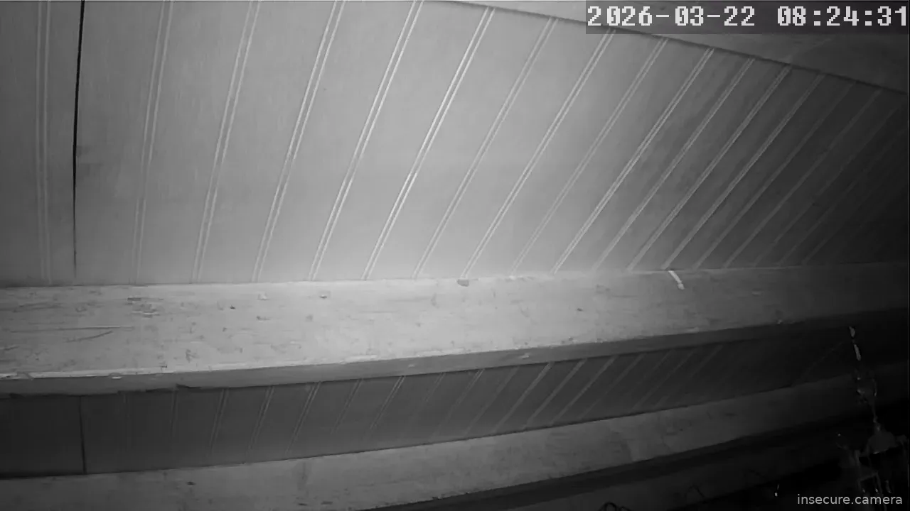 Capture from Mar 22, 2026 at 12:24 AM