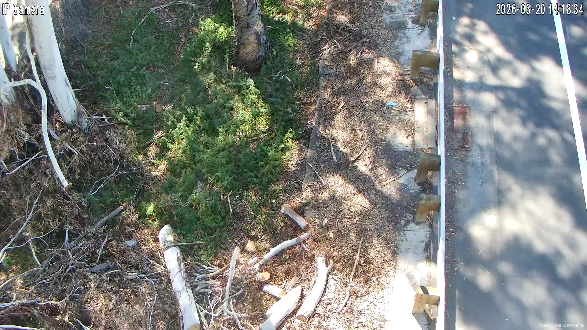 Camera in United States