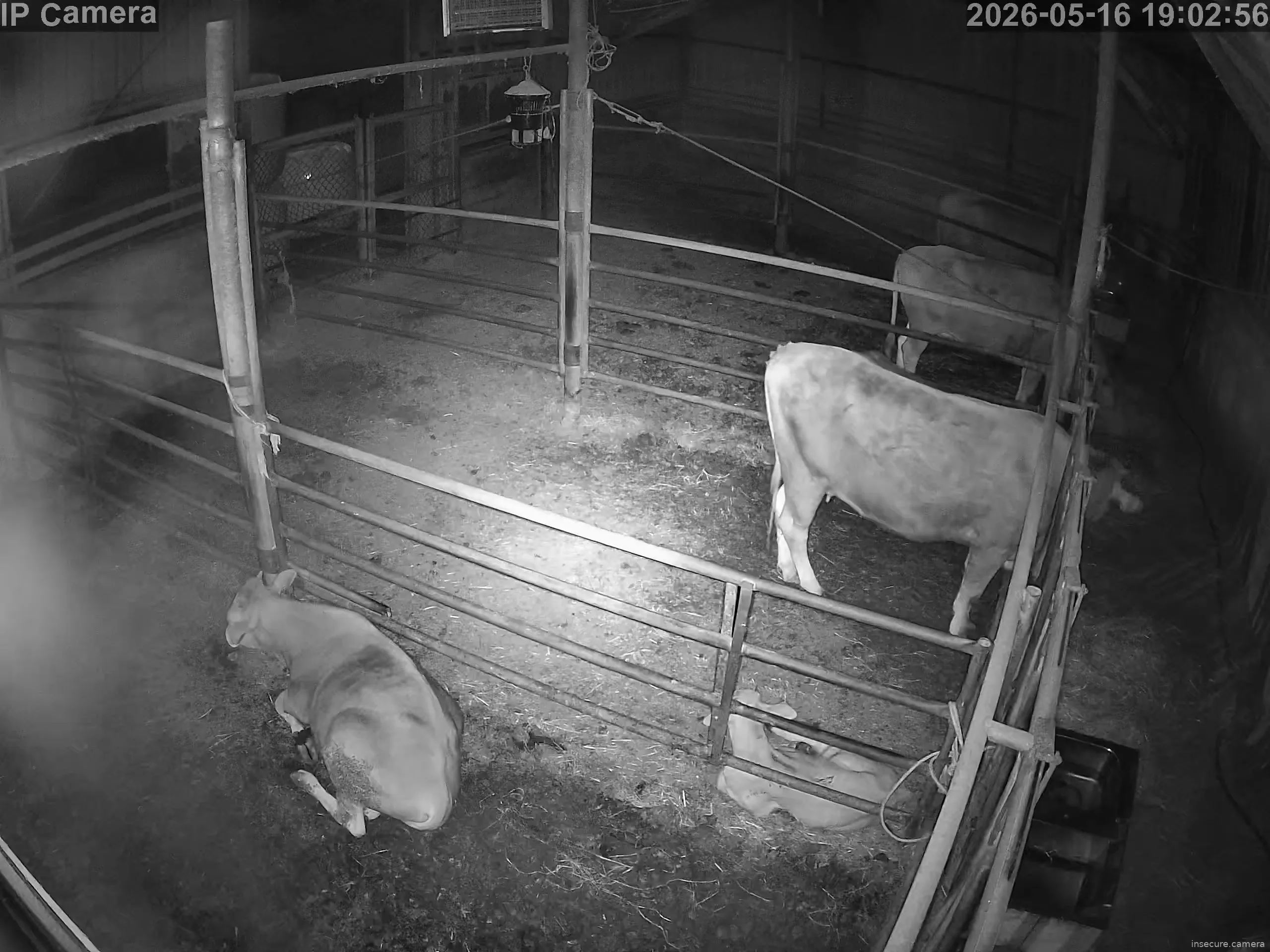 Capture from May 16, 2026 at 11:03 AM