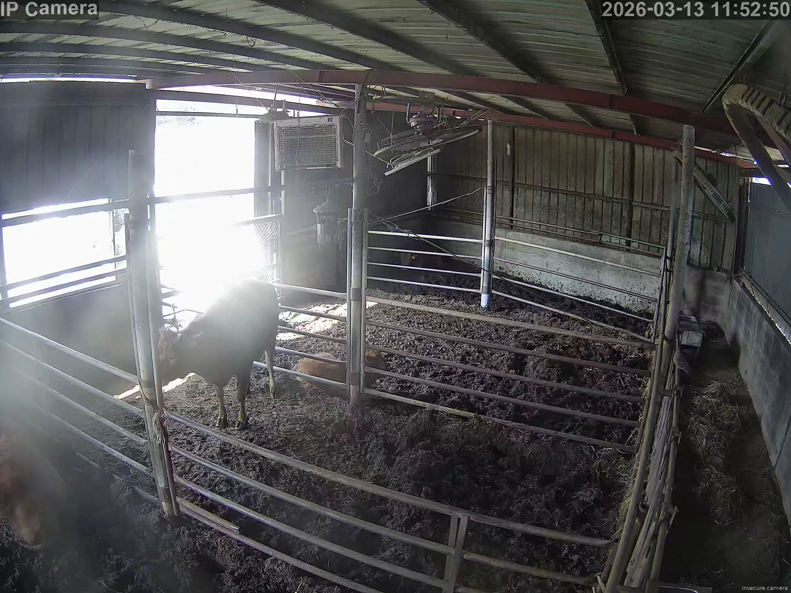 Capture from Mar 13, 2026 at 03:53 AM