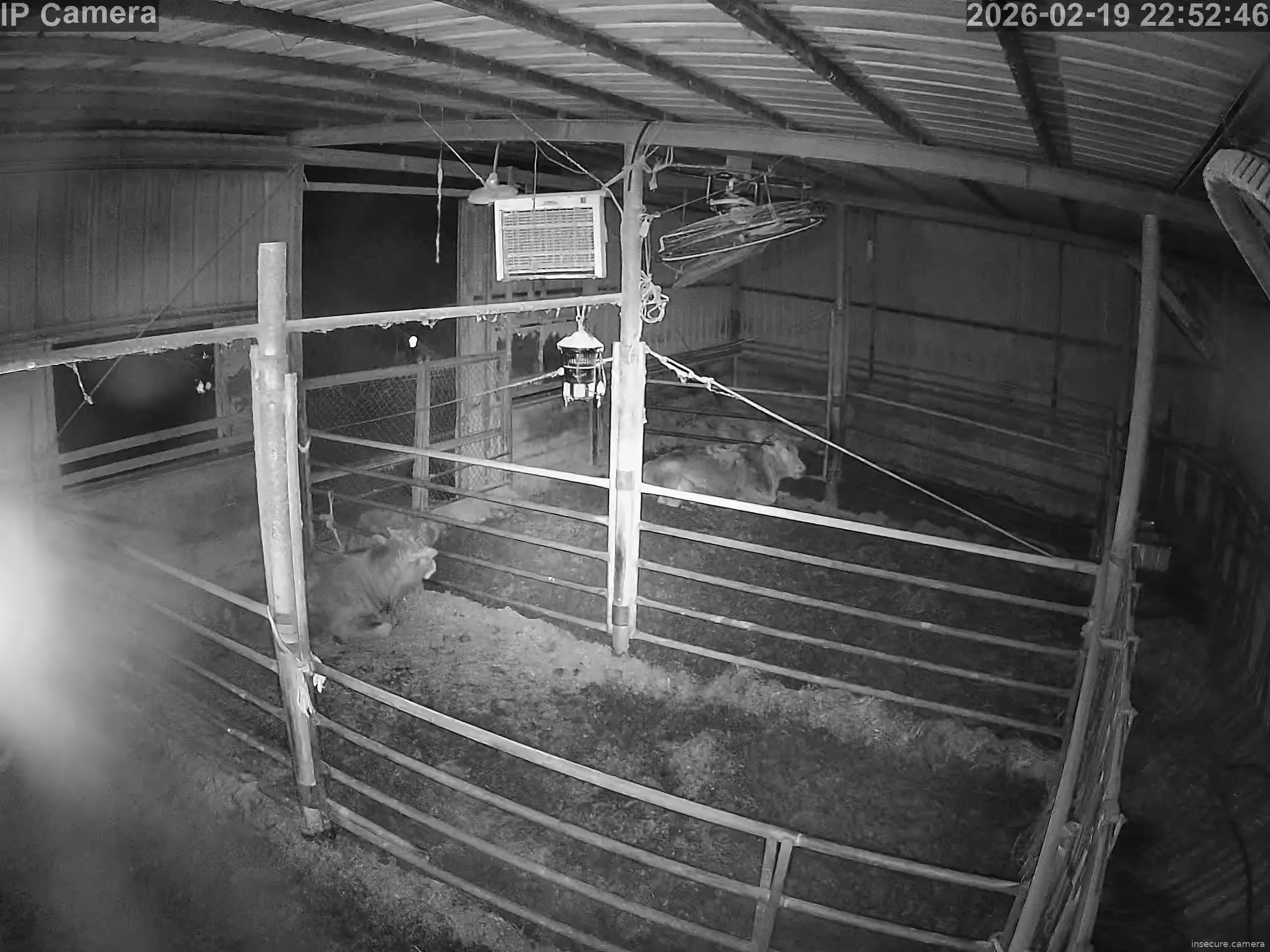 Capture from Feb 19, 2026 at 02:53 PM