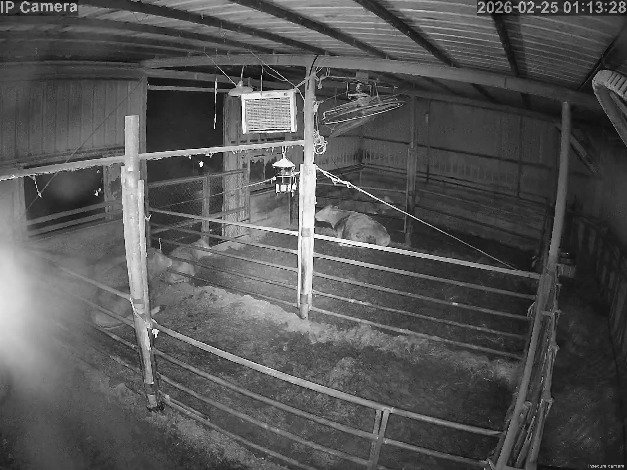 Capture from Feb 24, 2026 at 05:13 PM