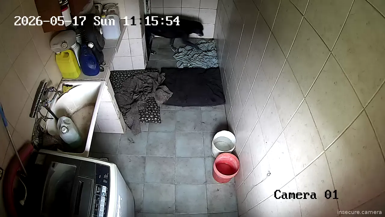 Capture from May 17, 2026 at 02:16 PM