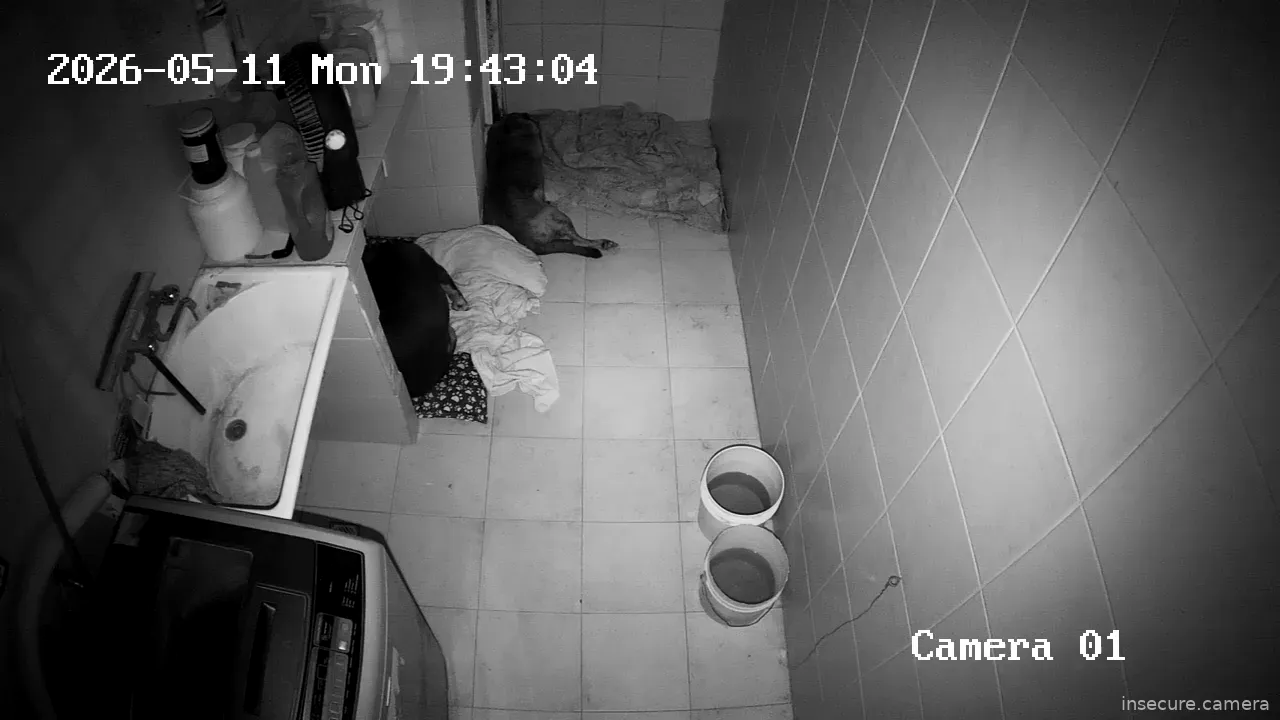 Capture from May 11, 2026 at 10:43 PM