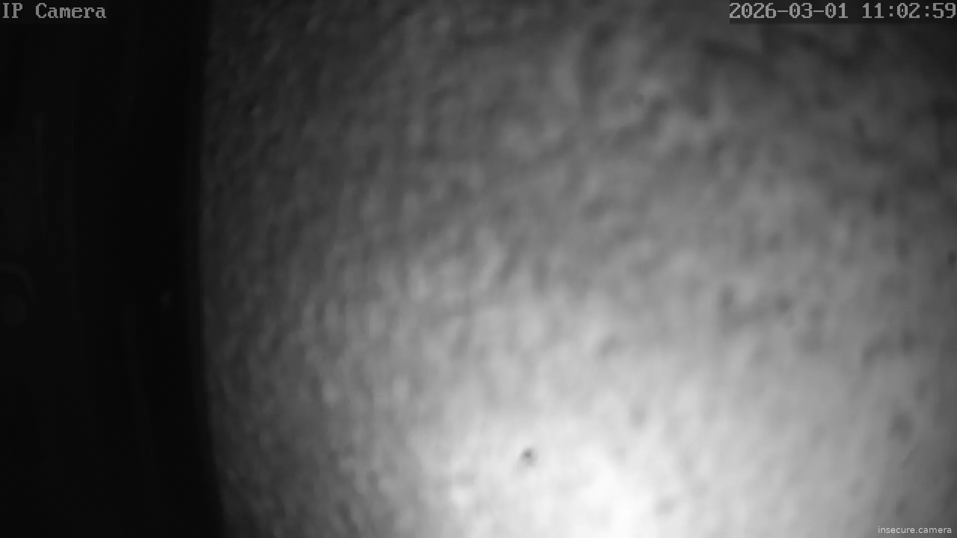 Capture from Mar 01, 2026 at 03:03 AM