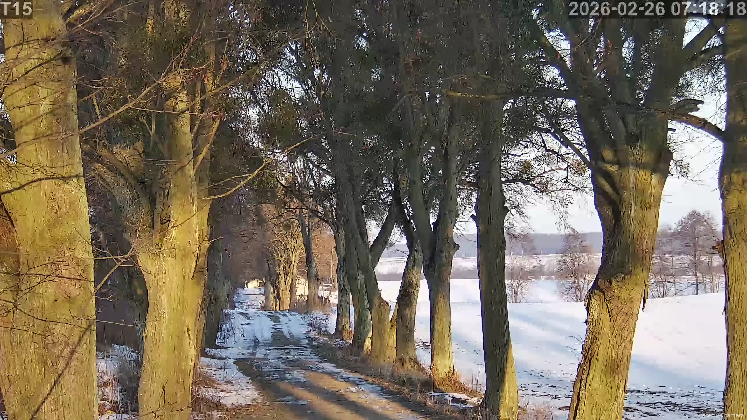 Capture from Feb 26, 2026 at 06:18 AM