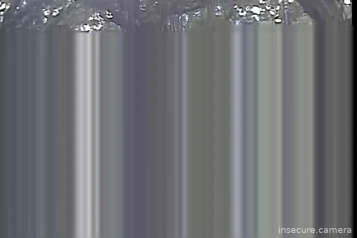 Capture from Feb 19, 2026 at 12:29 AM