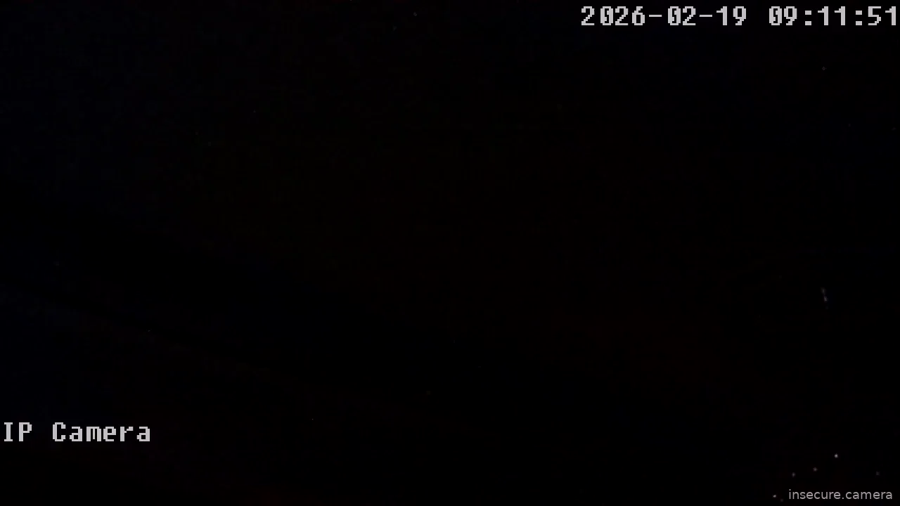 Capture from Feb 19, 2026 at 01:12 AM