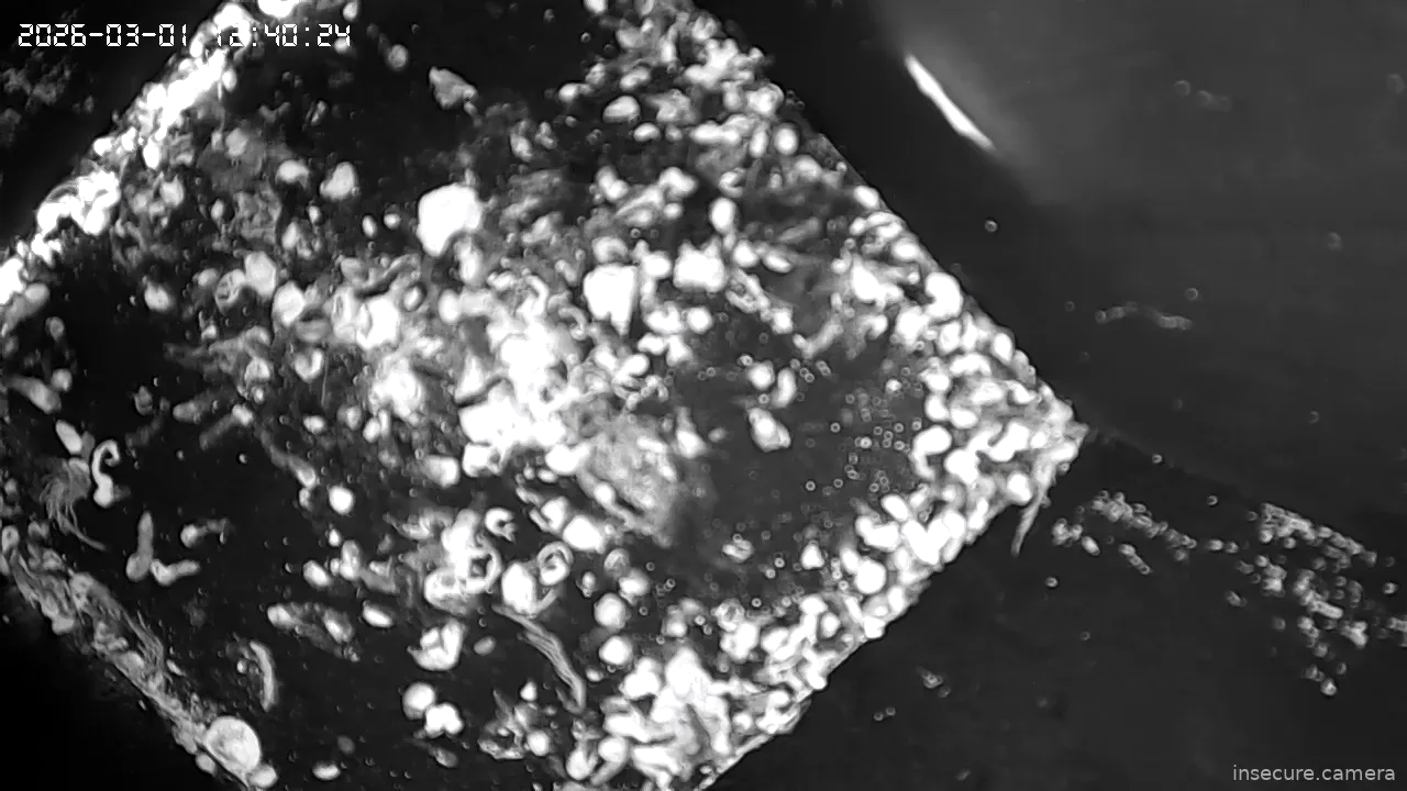 Capture from Mar 01, 2026 at 11:40 AM