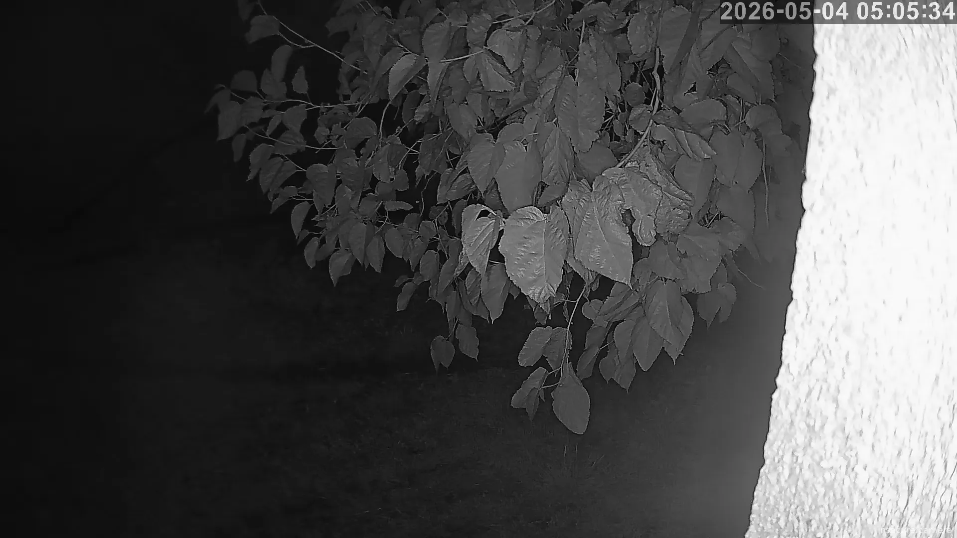 Capture from May 04, 2026 at 03:05 AM