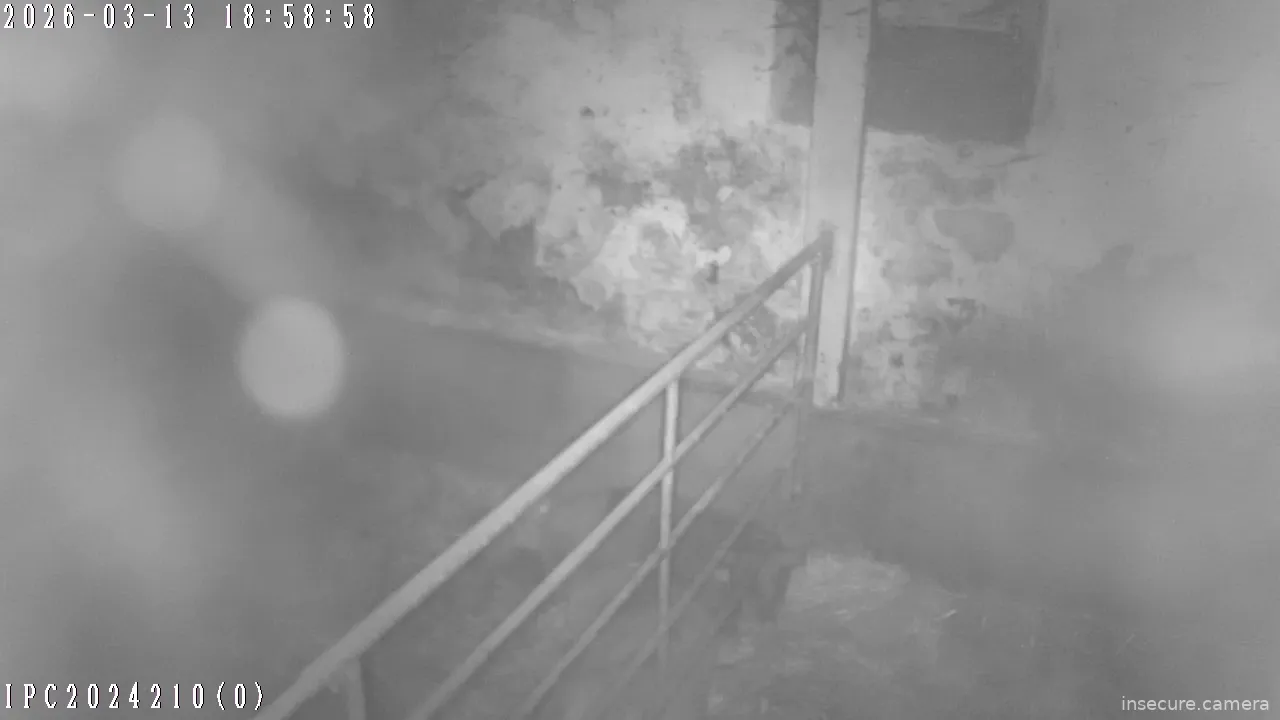 Capture from Mar 13, 2026 at 07:06 PM