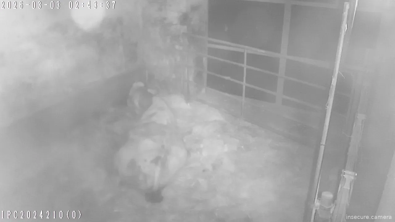 Capture from Mar 03, 2026 at 02:23 AM