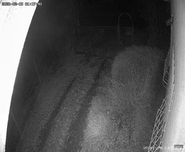 Capture from Feb 19, 2026 at 12:18 AM