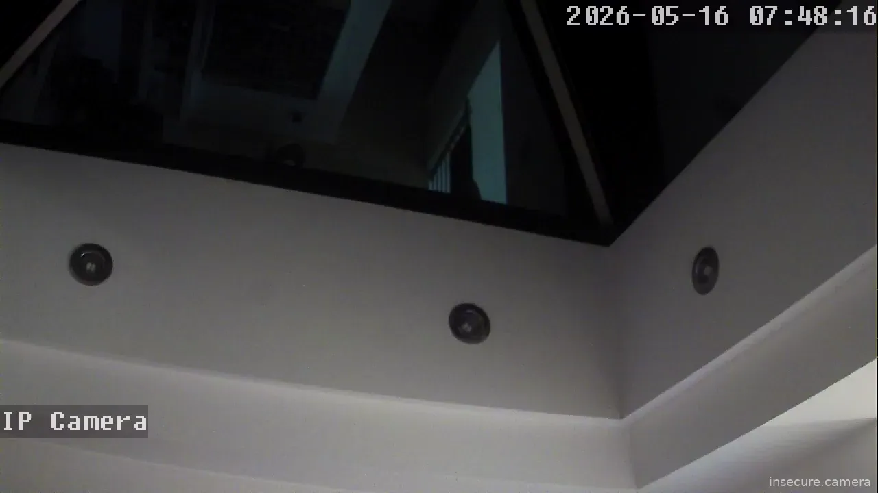 Camera in Israel