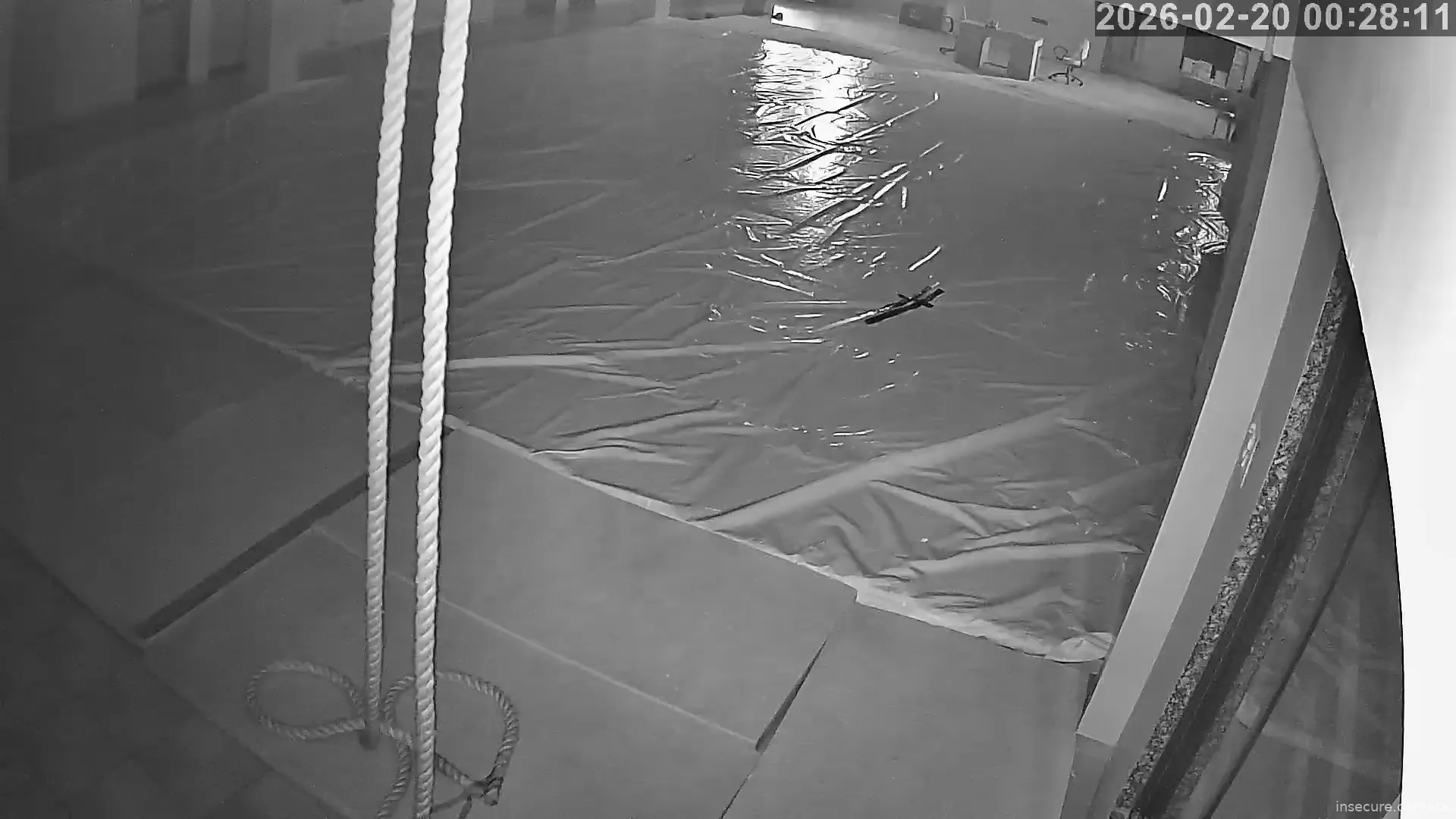 Capture from Feb 19, 2026 at 06:58 PM