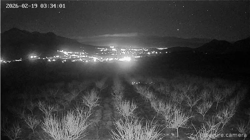 Capture from Feb 19, 2026 at 12:34 AM