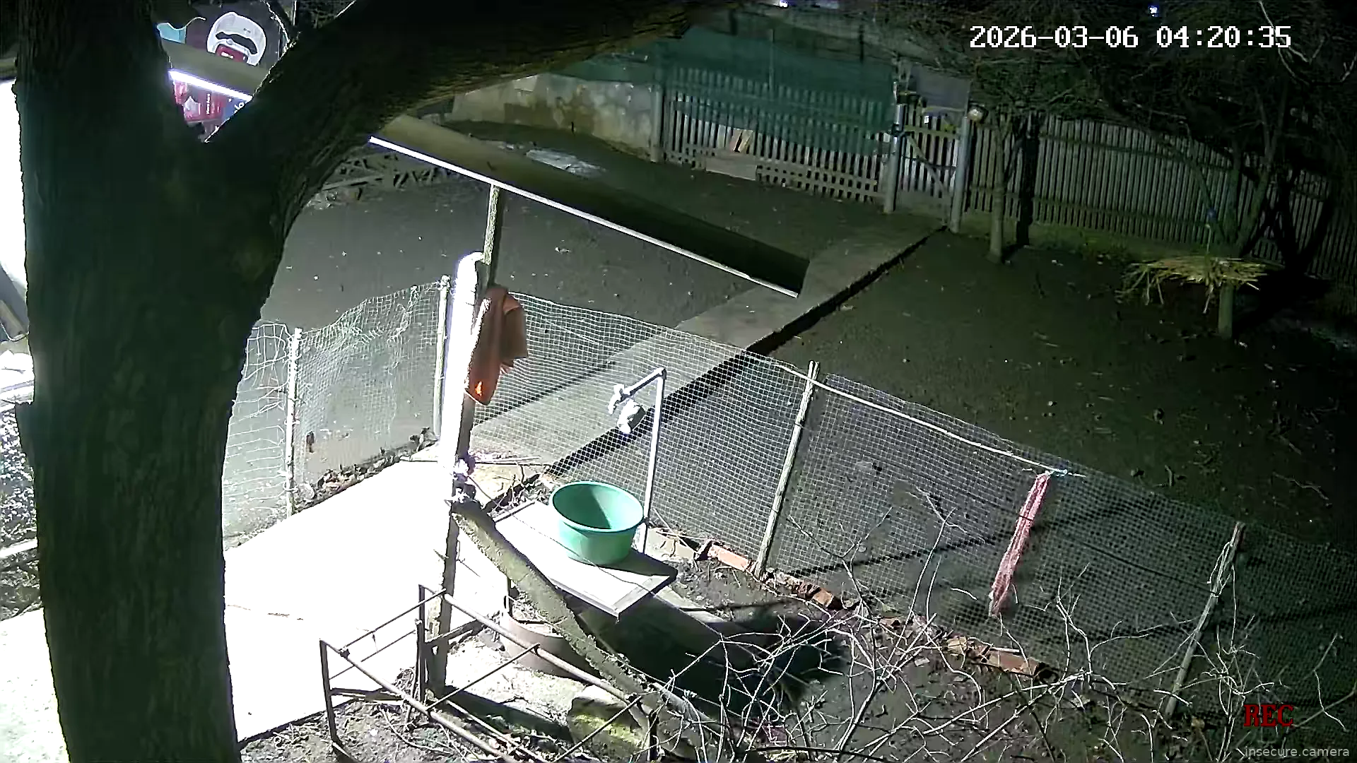 Capture from Mar 06, 2026 at 02:20 AM