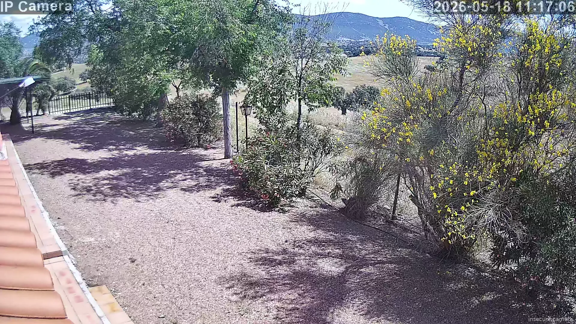Capture from May 18, 2026 at 10:17 AM