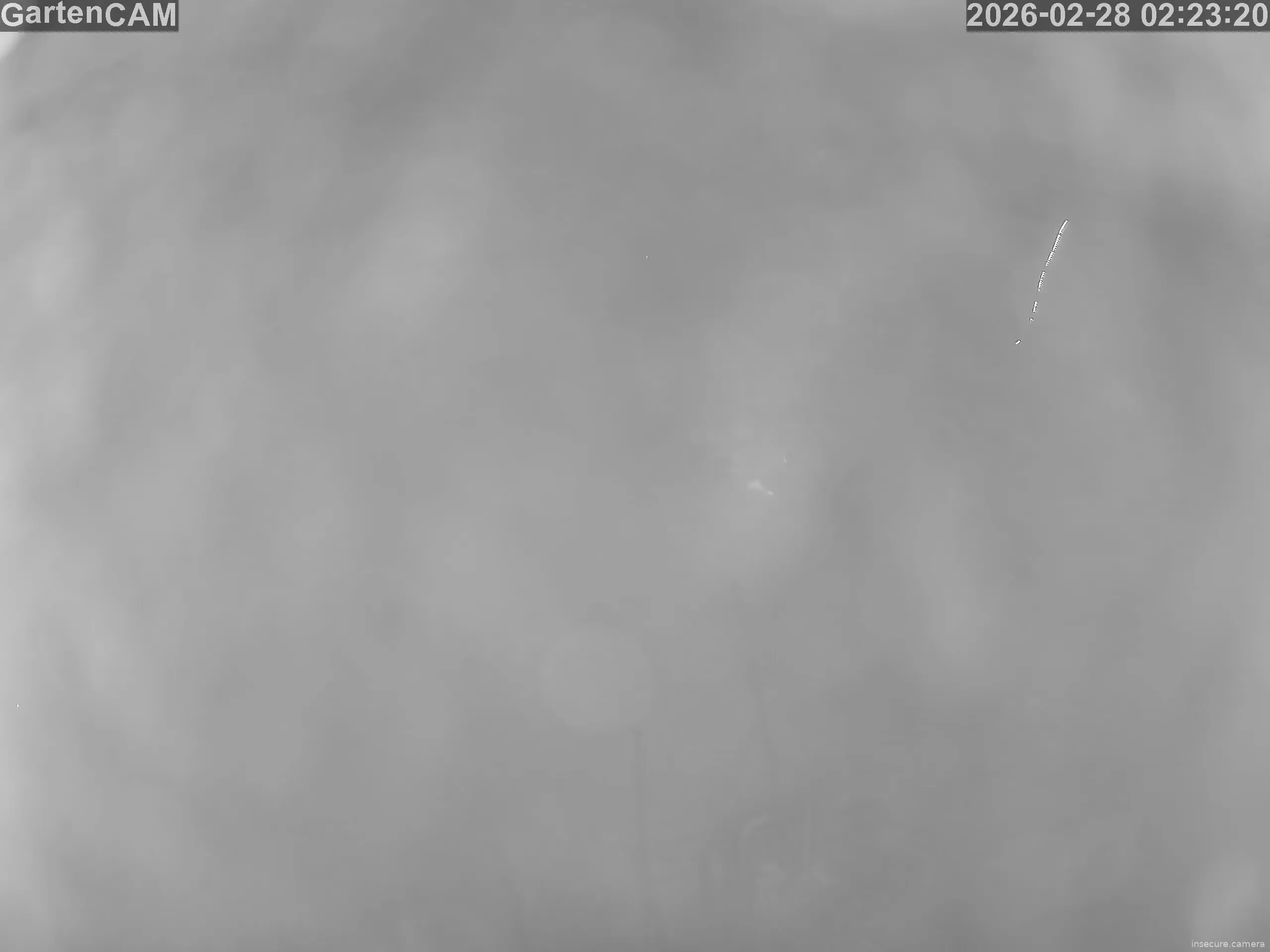 Capture from Feb 28, 2026 at 01:23 AM