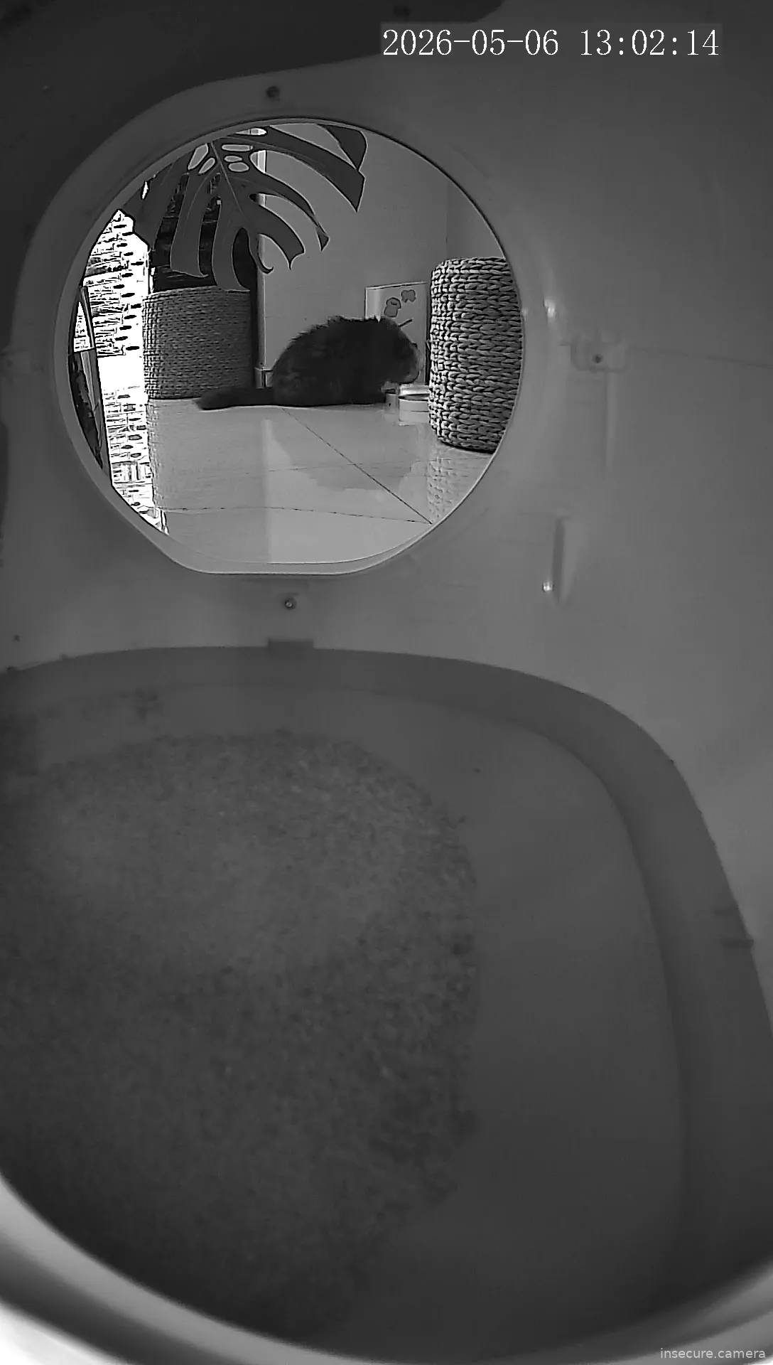 Camera in Argentina