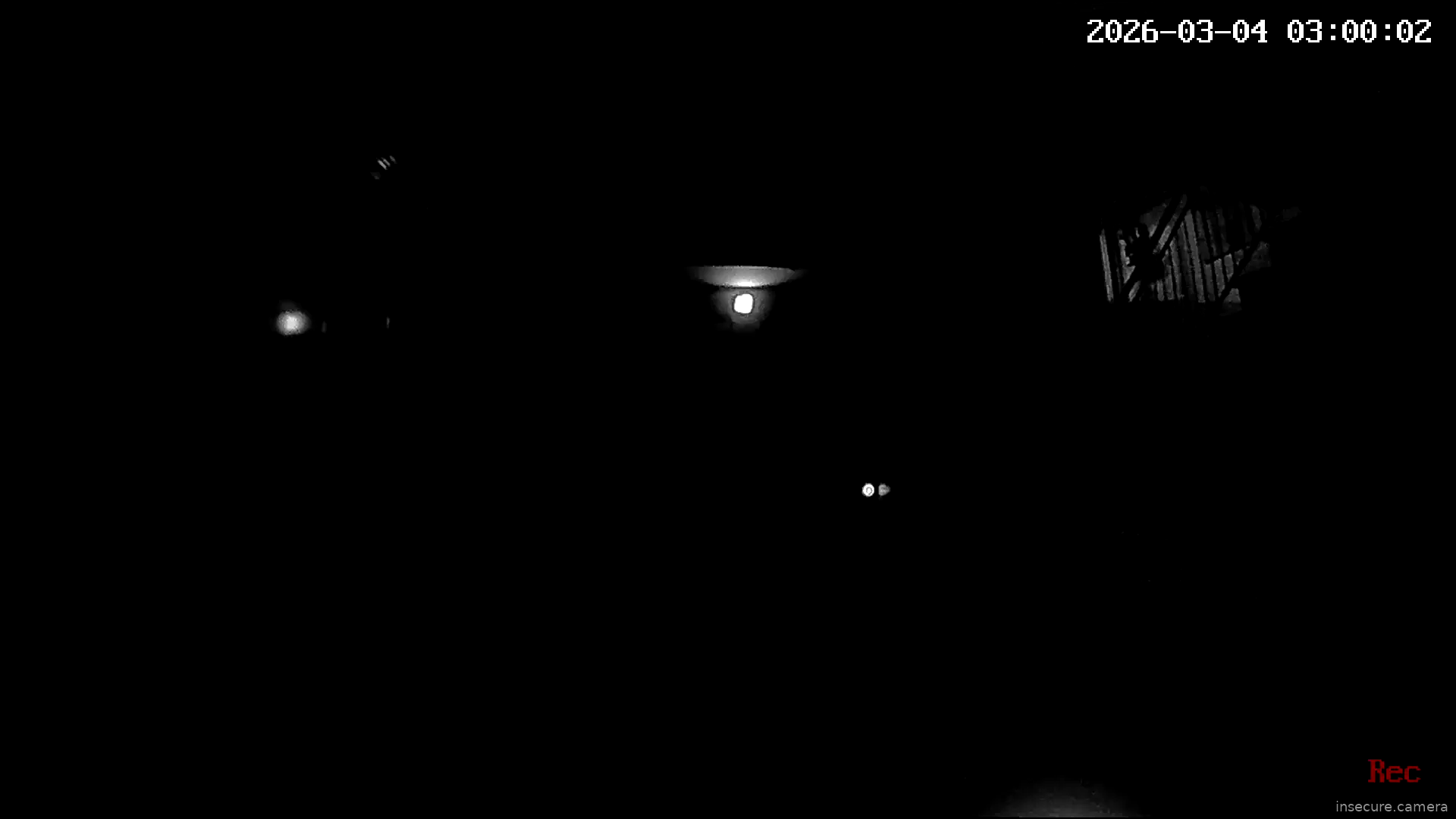 Capture from Mar 04, 2026 at 12:00 AM