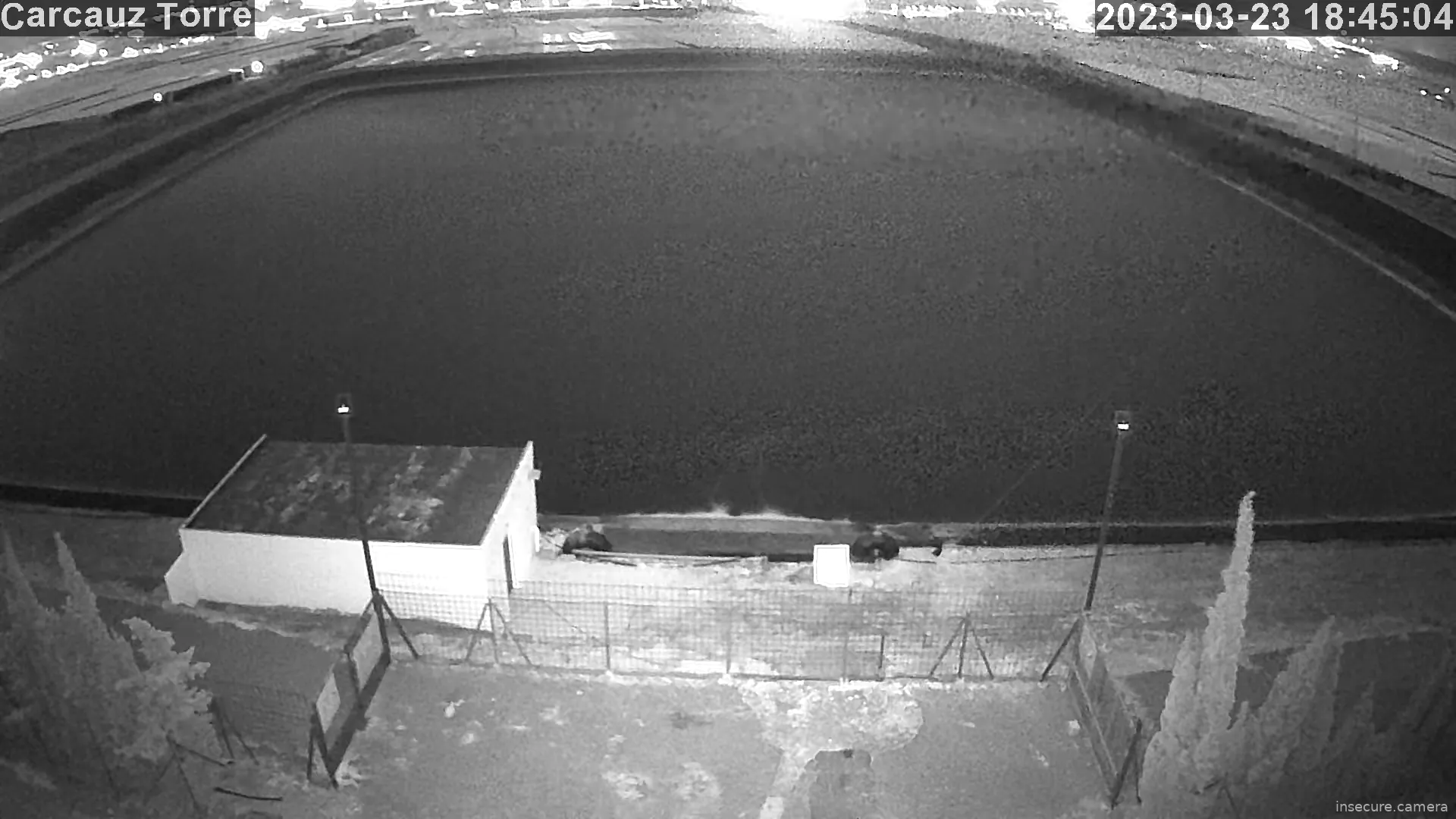 Capture from Mar 01, 2026 at 10:57 PM