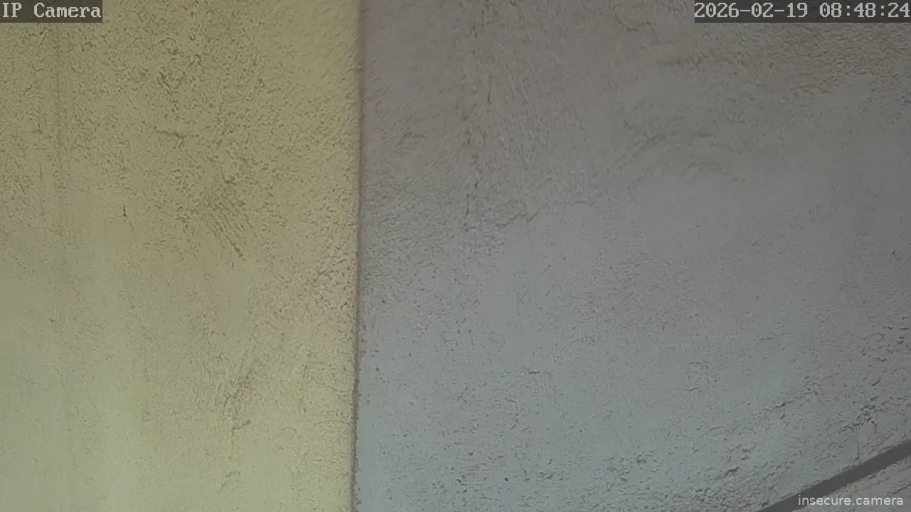 Capture from Feb 19, 2026 at 12:48 PM