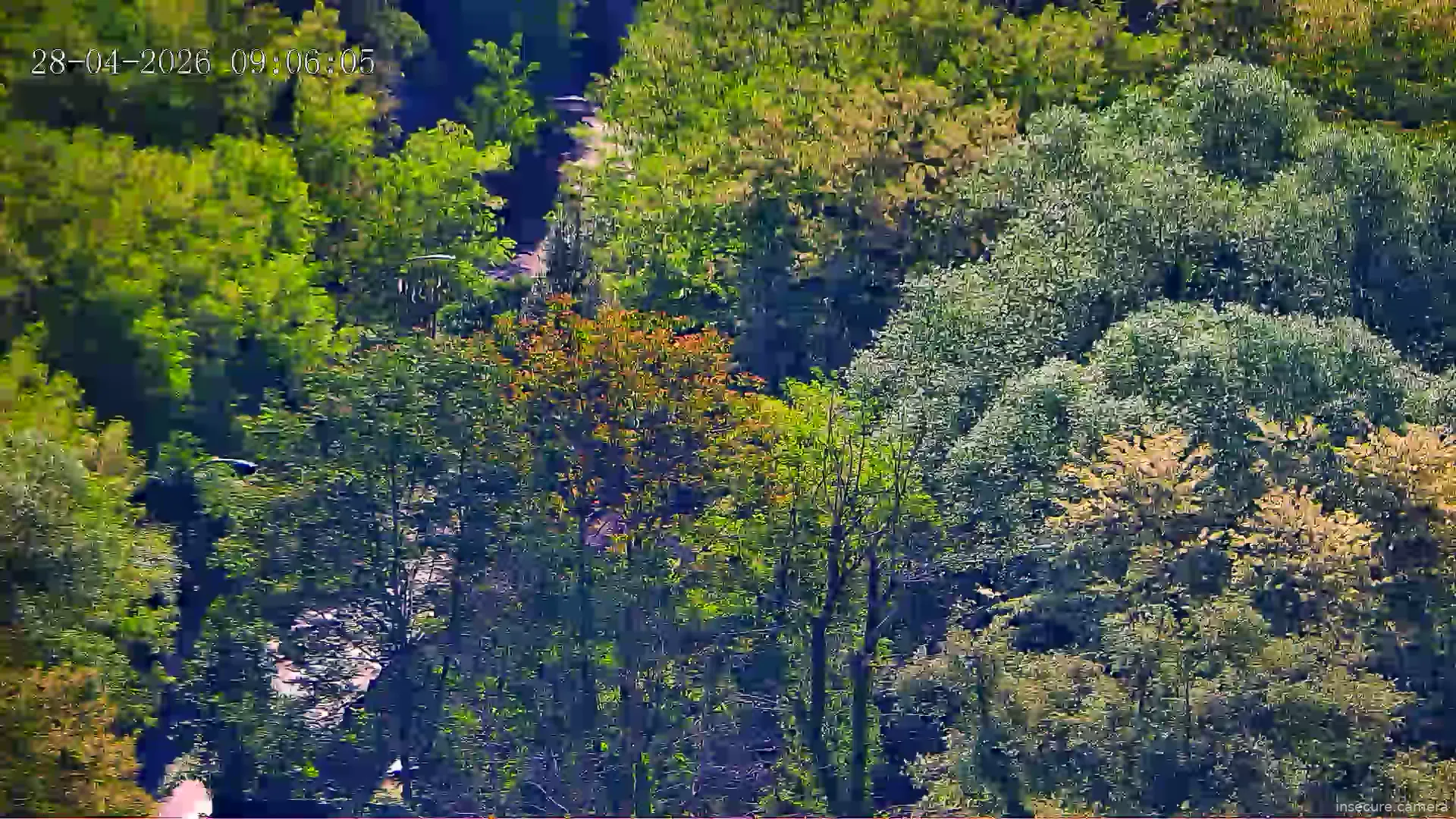 Camera in Italy