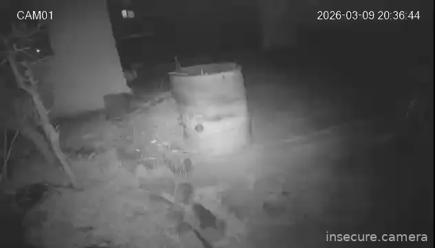 Camera in South Korea