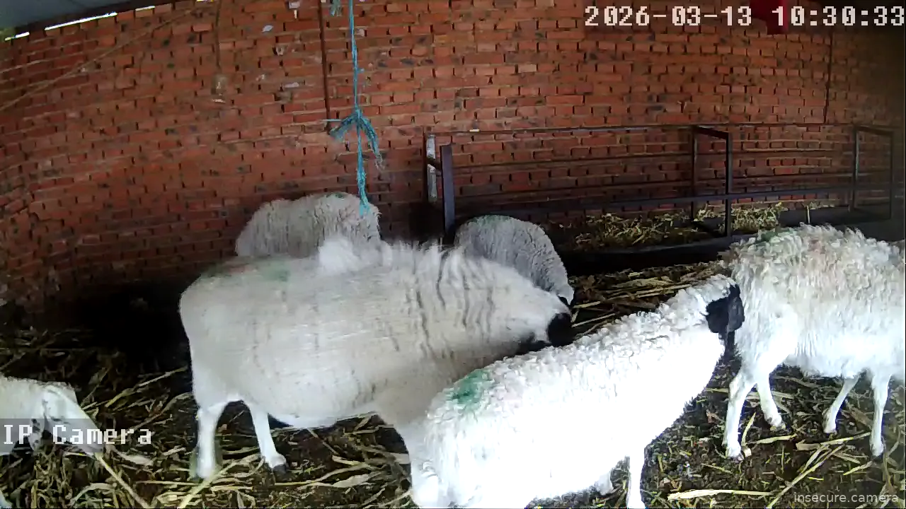 Capture from Mar 13, 2026 at 02:30 AM