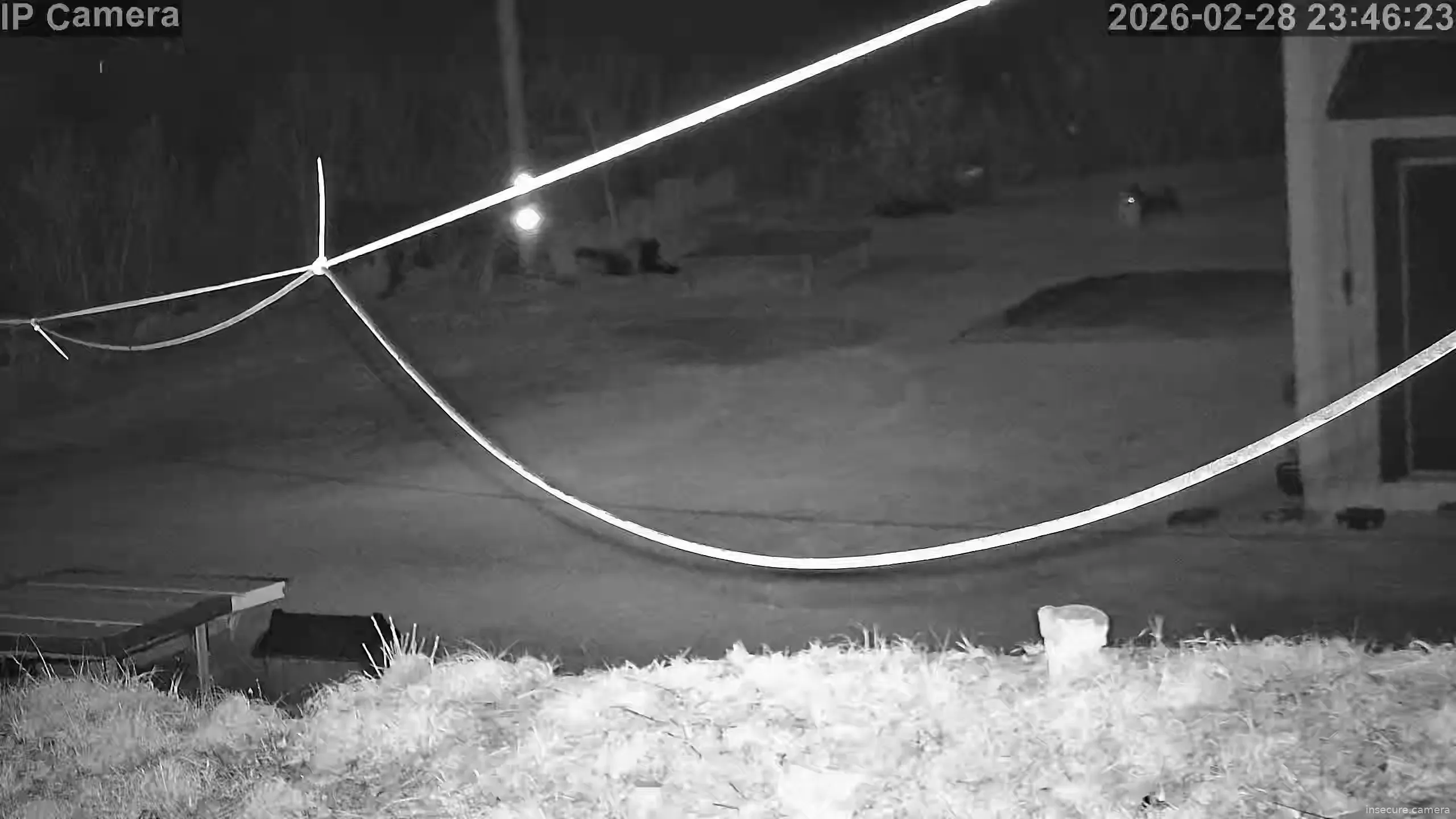 Camera in South Korea