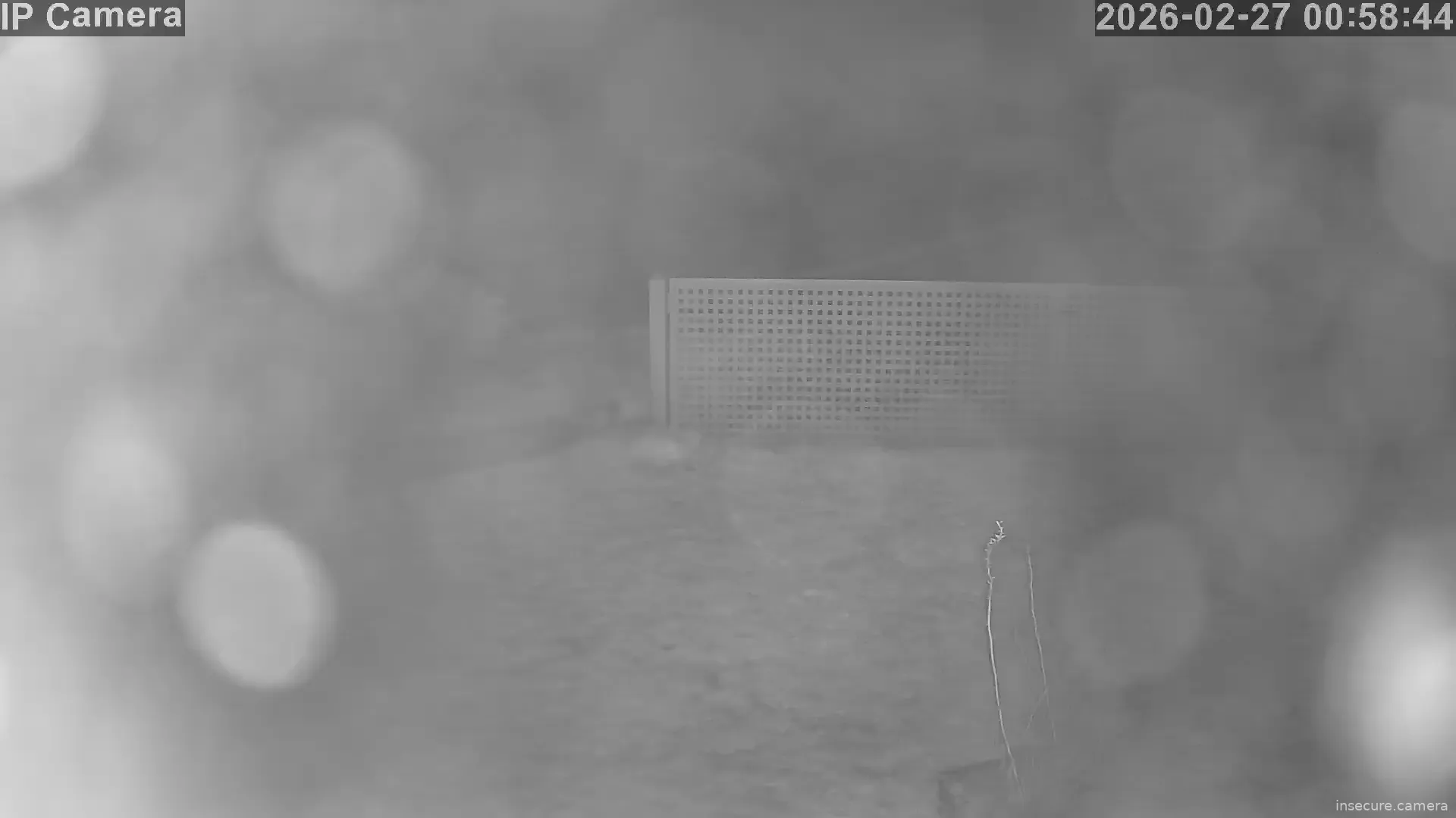 Capture from Feb 26, 2026 at 11:59 PM