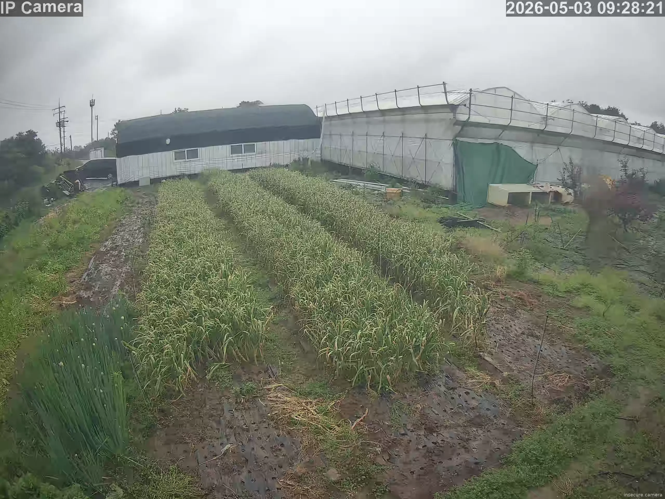 Capture from May 03, 2026 at 12:29 AM