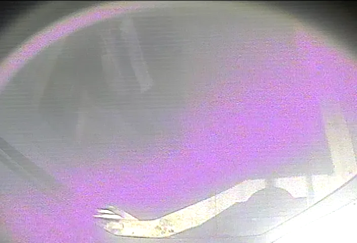 Capture from May 18, 2026 at 03:35 AM