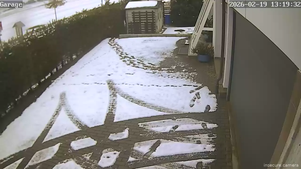 Capture from Feb 19, 2026 at 12:20 PM