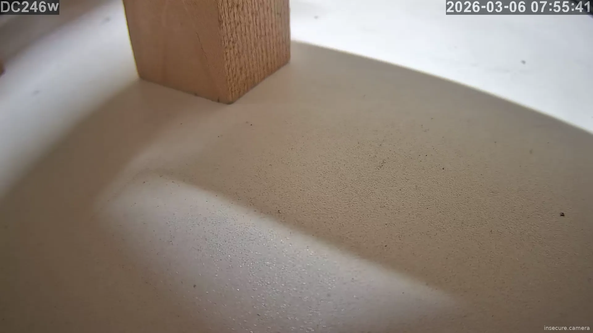 Capture from Mar 05, 2026 at 10:56 PM