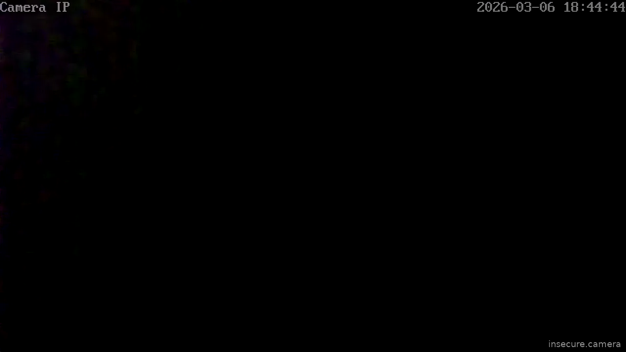 Capture from Mar 06, 2026 at 07:44 PM