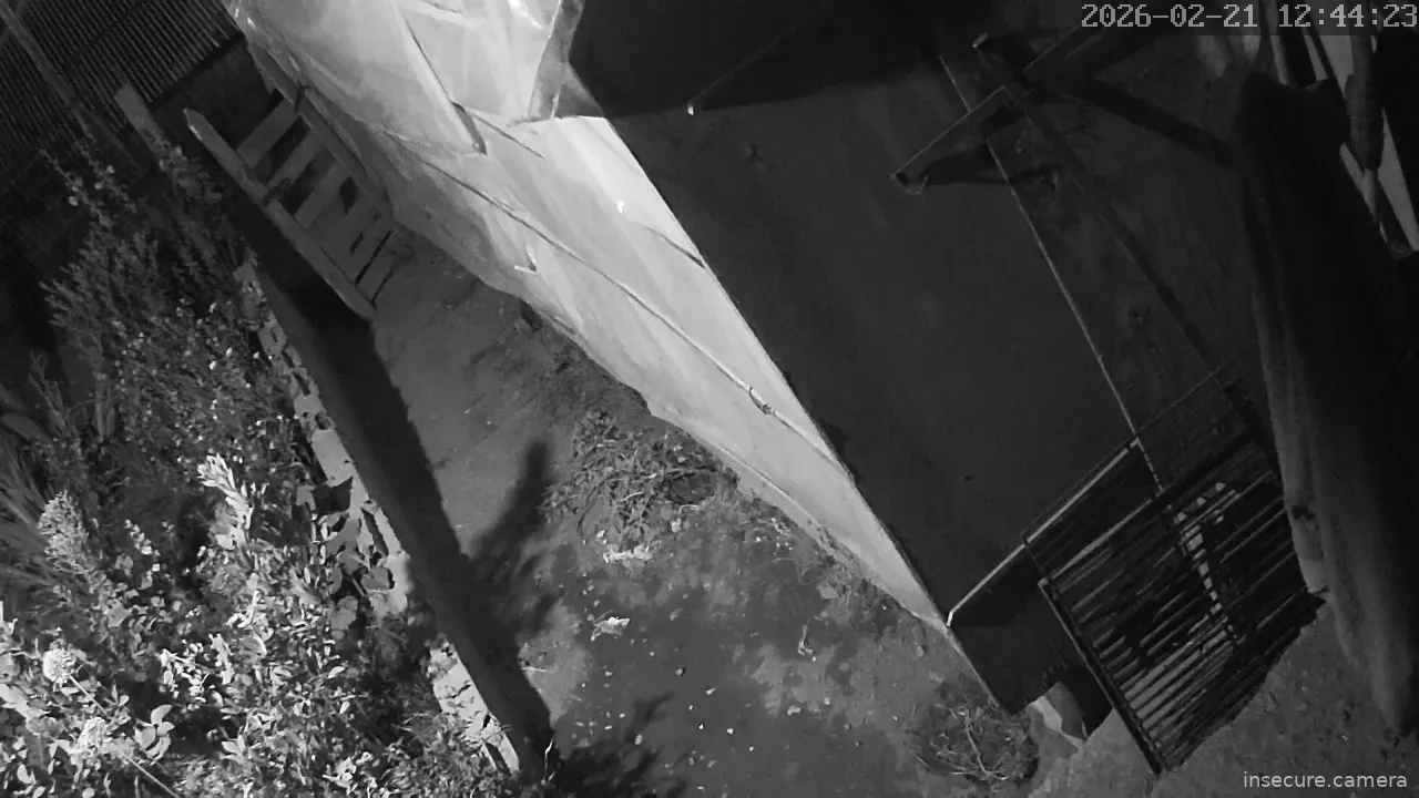 Capture from Feb 21, 2026 at 04:44 AM