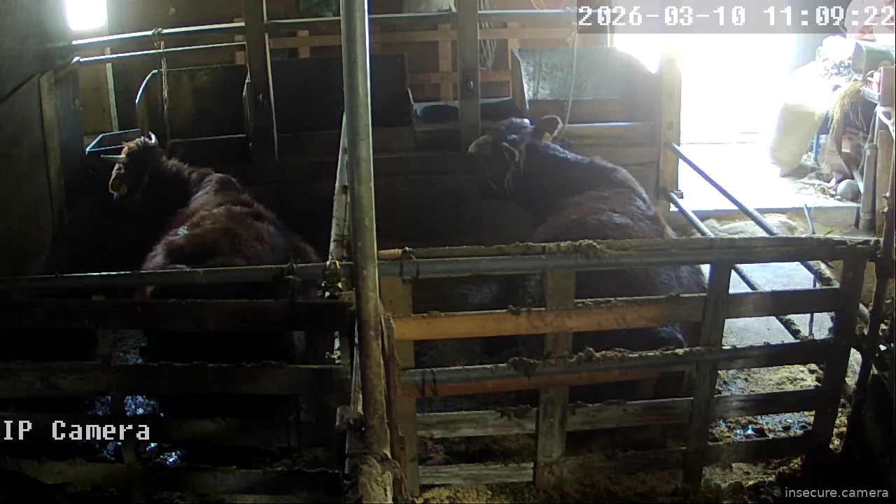 Capture from Mar 10, 2026 at 03:09 AM