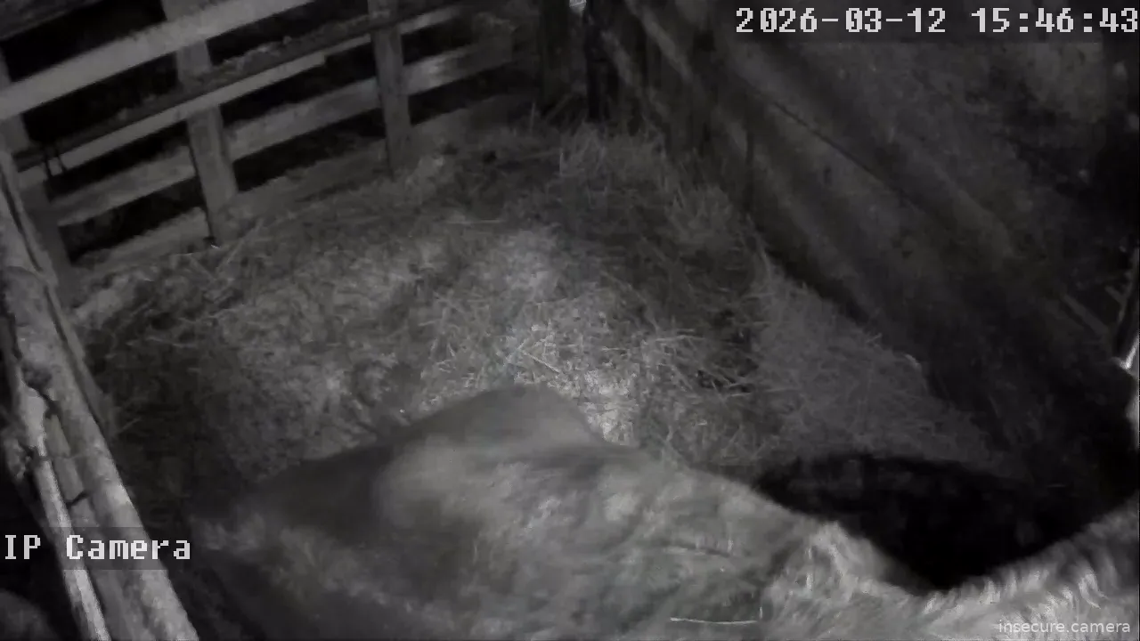 Capture from Mar 12, 2026 at 07:47 AM